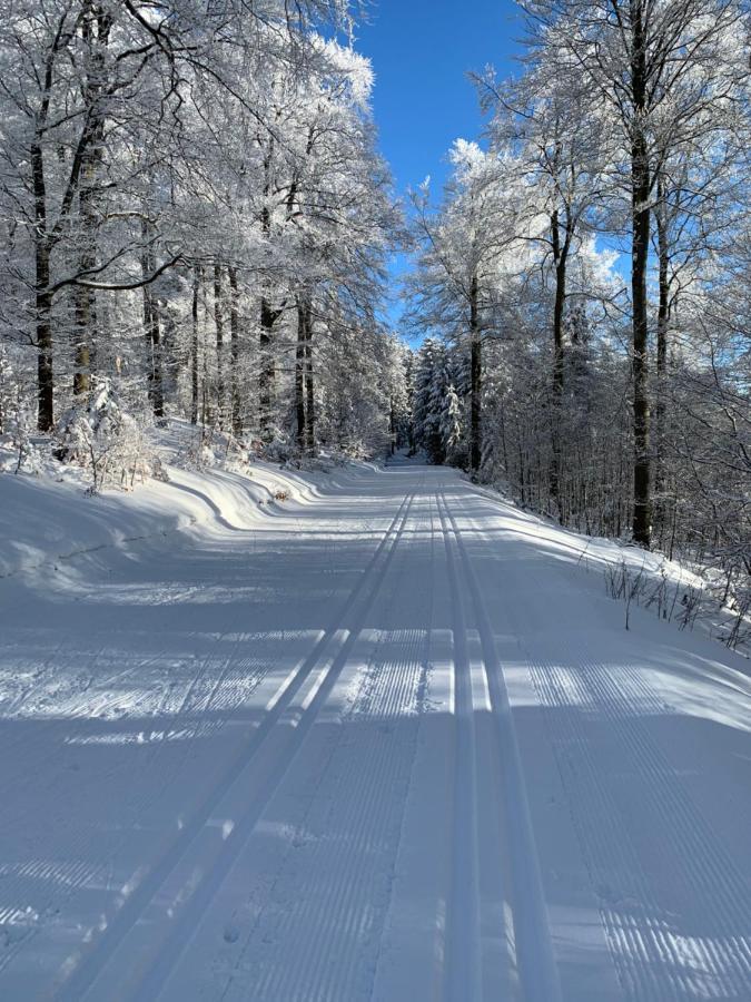 Aktiv-Ferienwohnung "Snow & Bike"- Zentral Zwischen Winterberg Und Willingen Εξωτερικό φωτογραφία